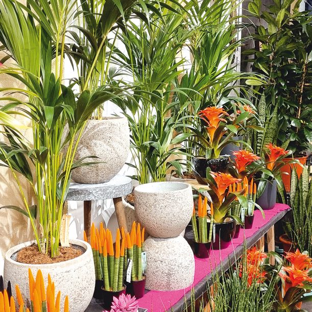 Glende-Deko-Markt-25-Foto-171147-web1