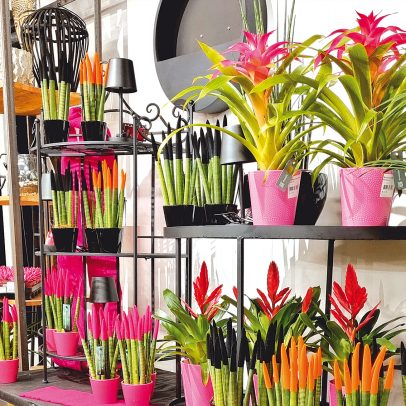 Glende-Deko-Markt-25-Foto-171221-web1