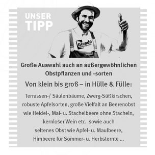 Glende-Unser-Tipp-Obst-Gehoelze-26