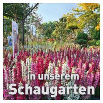 Glende-WEB-SM-Herbst-26-quadrat1-2