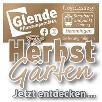 Glende-WEB-SM-Herbst-26-quadrat1