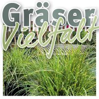 Glende-WEB-SM-Herbst-26-quadrat4